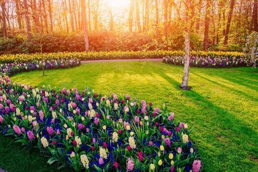 Plants supply service in Muscat, Oman