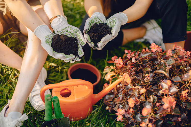 Plants supply service in Muscat, Oman
