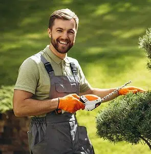 Professional landscape gardener pruning hedges in Muscat