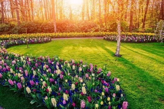Seasonal flower bed planting and Arabian jasmine borders Muscat